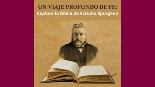 Un Viaje Profundo de Fe Explora la Biblia de Estudio Spurgeon ¿Funciona? Es Bueno?