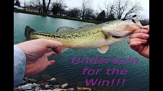 6th Sense Divine Underspin Catches Pond Bass in High Winds