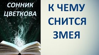 К чему снится змея. Сонник Цветкова. Толкование снов.