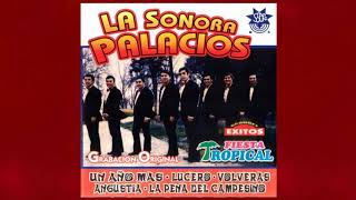 Sonora Palacios  -  Me Voy a Buscaramanga