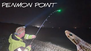 Penmon point sea fishing - FISH ON!