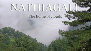 Nathia Gali vlog | Scenic drive in Nathia Gali | Nathia Gali food vlog | Nathia Gali Bazaar |