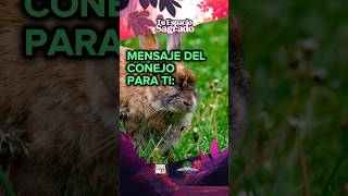 MENSAJE DEL CONEJO #bibliotecaholistica #esmeraldaandres @SumaBrillo #sofiafuentes