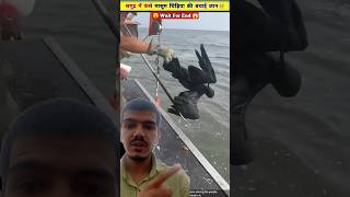 Aaj kisi ki jaan bachaie aacha laga #savebirds #birds #savelife #animal #animallover #youtubeshort