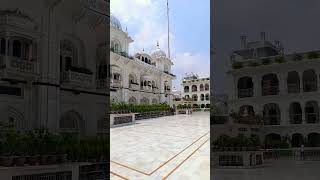 Gurudwara #patna #youtubeshorts #shorts