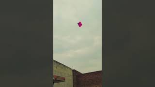 Patang ko baand dia katti patang ke saath #patang  #kite  #youtubeshorts