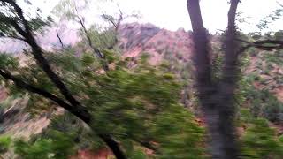 Zion National Park 2