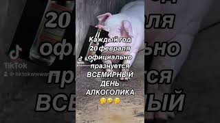 #приколы