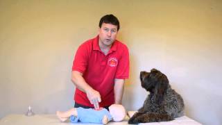 Petaluma CPR Classes - infant cpr training course