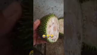 Dikira durian 😂 #shortvideo #shorts #short #youtubeshorts #youtube #fyp @AnakHebat12