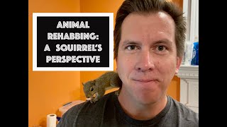 A Squirrel Rehabbing Experience: Insight in to squirrel and other wildlife rehabilitation.