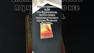 Львы #tarot