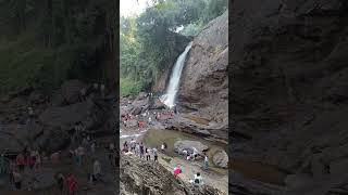 പച്ച ബസിൽ പച്ചപ്പ് തേടി ഒരു യാത്ര.#travel #nature #kerala #waterfall #wayanad