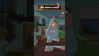 ГАЙД КАК ПОЙМАТЬ ЛЕТУЧУЮ МЫШЬ! #сериал #юмор #familyguy