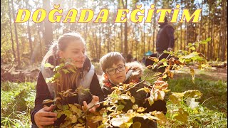 📌 DOĞADA EĞİTİM ( FOREST SCHOOL)