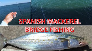 Spanish Mackerel Fishing | Fort DeSoto | South Florida Saltwater Bridge Fishing