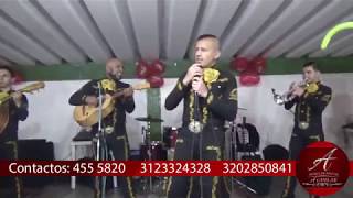 MARIACHI JUVENIL AGUILAR✅ en BOGOTA // Ni parientes somos EN VIVO//