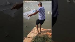 Asian Fishing On Street Fish Video