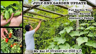 Late July Garden Update | AKABARE KHURSANI UPDATE | Complete Garden Tour Harvest | Nepali Garden UK