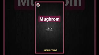 Mughrom • Sholawat Shorts #sholawat #sholawatnabi #liriklagu #storywa #status #cintasholawat