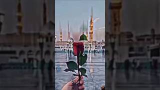 Duniya me mujhe tum ne jab apna banaya hai# beutiful 😍 naat Sharif# shots video# like 👍🏻 #subscribe