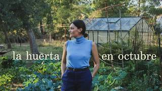 El Huerto Familiar en Octubre - Qué Plantar en Otoño -  Plagas, Consejos, Trucos y Experimentos