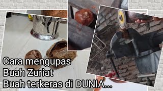 Tutorial Mengupas buah Zuriat (buah ter keras di dunia)