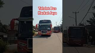 Telolet Bus Harkat Jaya #basuri #telolet #busmania