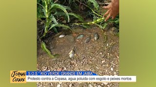 JAIBA: Protesto "MOVIMENTO RIO VERDE GRANDE" contra a Copasa, esgoto no rio e morte de peixes