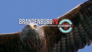 2023-06-17: LIVE AUS BRANDENBURG! "KEIN WERBEN FÜRS STERBEN"