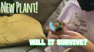 New Plant! Unboxing Video!