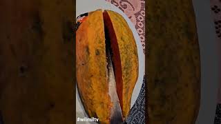 Satisfying sliced Papaya #asmr