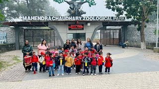 Lion and Deer Safari | Visit to Chatbir Zoo Chandigarh | Must visit place for Kindergarten