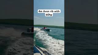 Avon rib ripping