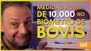 Como medir valores acima de 10.000 no Biômetro de A. Bovis ? - Luz e Arte