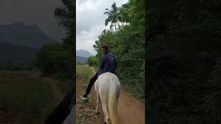 Horse Boy Of Rural India