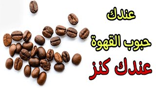 عندك حبوب القهوة❓احتفظي بهم بدون مجمد ولا ثلاجة👍طريقة جديدة للقضاء على الغمولية و الرطوبة👌