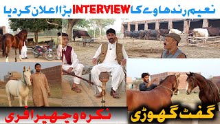 Naeem Bhai ka Horse|breeder horses in pakistan |horse lover