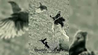 ПРОхоту - The 8-th battle of spaniels