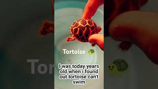 Can Tortoises REALLY Not Swim? I Found Out Today! #tortoise  #turtle