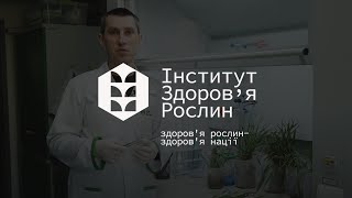 Дослідження рослинного матеріалу