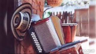 El palo de Patilla Aizar Vega vallenato sabanero