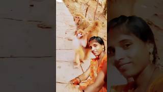 Monkey ka comedy video #monkey #cute #funny #comedy #cutebaby #monkeybaby