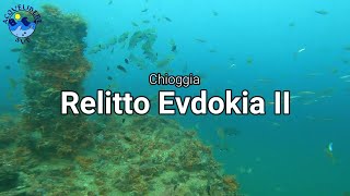 Un Relitto pieno di Vita - Immersione sul Relitto Evdokia II a largo di Chioggia