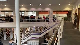 A view from the LSE Library 📚