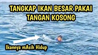 DAHSYAT ‼️ Tangkap Ikan Pakai Tangan Kosong, Acong Terjun Bebas Ke Laut