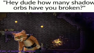 Random Terraria Memes 1 (I made)