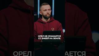 Почему орел не сражается со змеей на земле? #shorts