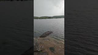 Giri Dam - Beawar- Rajasthan - Heavy Rain