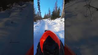 Sled Trail from Caswell to Yoder 3/8/24